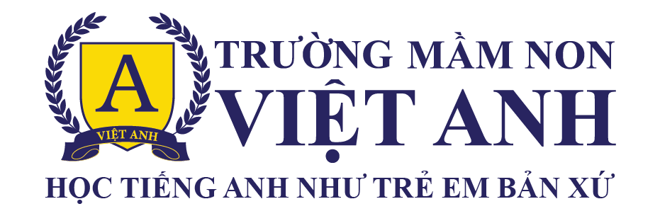 Mầm Non Việt Anh