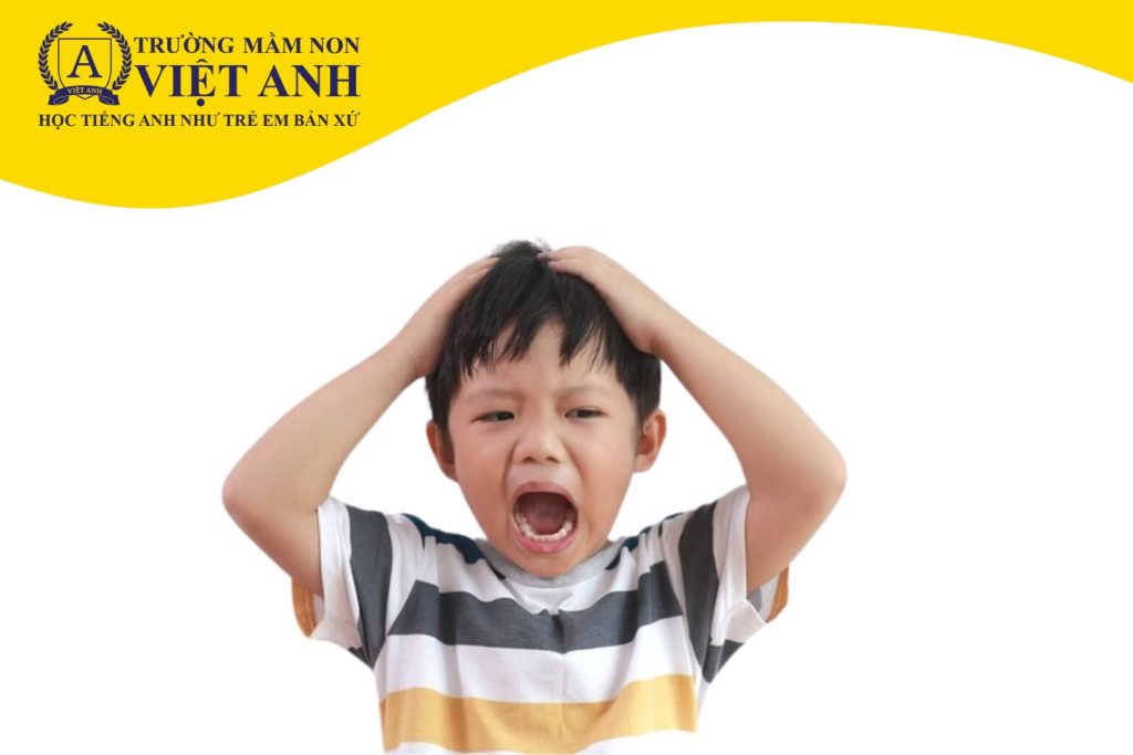 Khả năng điều chỉnh cảm xúc phản ánh cách trẻ tiếp nhận và xử lý thế giới.